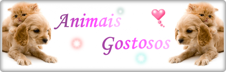 Animais Gostosos